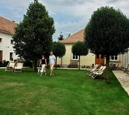 Bed & Breakfast Sarffy House Dörgicse