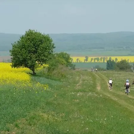 Sarffy House Bed & Breakfast